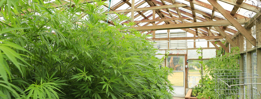 Security Solutions for Apartments in East Liverpool, OH